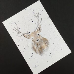 Deer