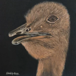 Baby ostrich 8 x 10