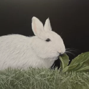 The wwhite rabbit 18 x 30 (1)