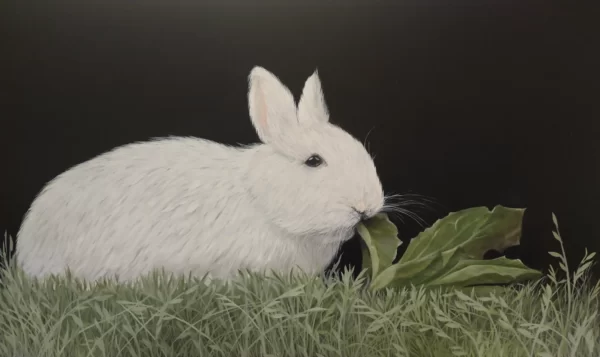 The wwhite rabbit 18 x 30 (1)
