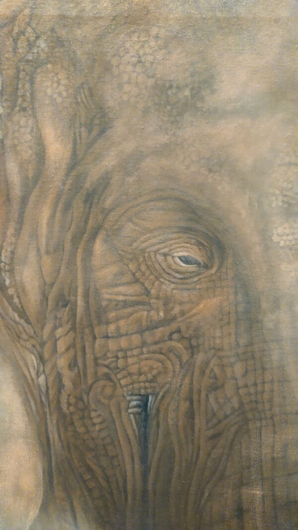 Elephant skin