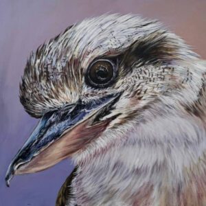 Laughing kookaburra