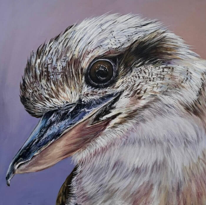 Laughing kookaburra