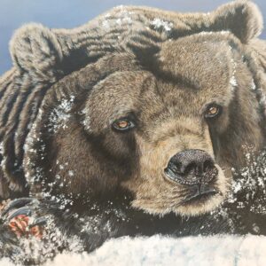 The Grizzly Bear